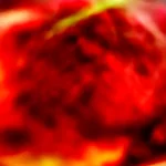 Cranberry Balsamic Roast Beef Recipe