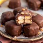 Chocolate Banana Peanut Butter Bites