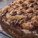 Chocolate Chip Cookie Delight